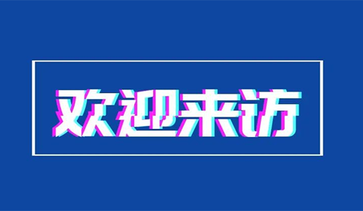 重庆市南岸区区委书记许洪斌一行莅临重庆双环调研指导